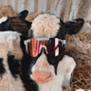 Meet your Posher, Macy